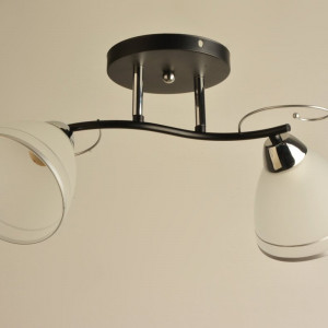 Люстра стельова Sirius Л 8023/2 BK+CR на 2 плафони