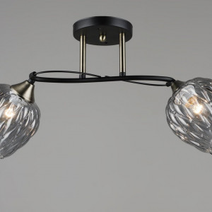 Люстра стельова Sirius B C1717/2 на 2 плафони