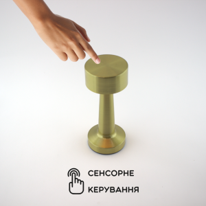 Настільна сенсорна світлодіодна лампа Esllse DOWN LIGHT з акумулятором 2Вт Золота
