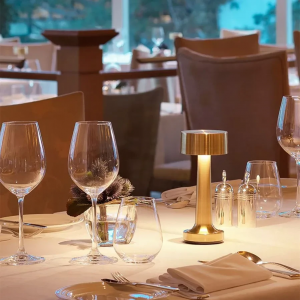 Настільна сенсорна світлодіодна лампа Esllse DOWN LIGHT з акумулятором 2Вт Золота